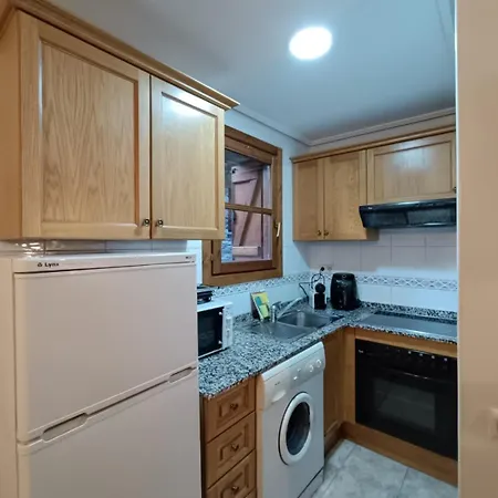 Oreja De Oso Inmocyma Benasque